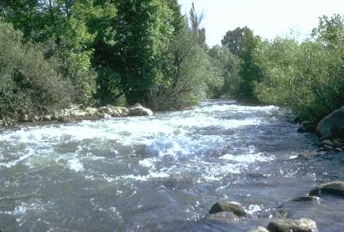 জর্ডান নদী